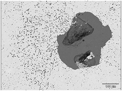 Artificial Inclusion Environments—Replicating Industry in the Laboratory